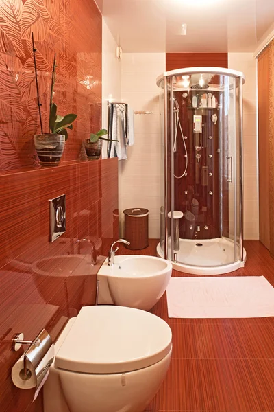 Cabina de ducha moderna y bidet — Foto de Stock