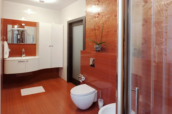 Cabina de ducha moderna y bidet — Foto de Stock