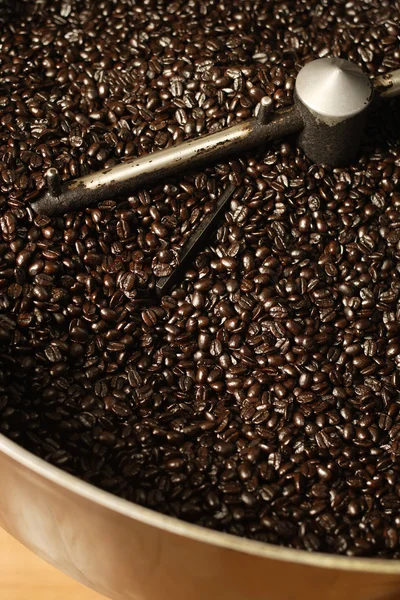 冷却的咖啡焙烧炉豆 — 图库照片
