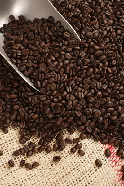 Koffiebonen, scoop en zak — Stockfoto