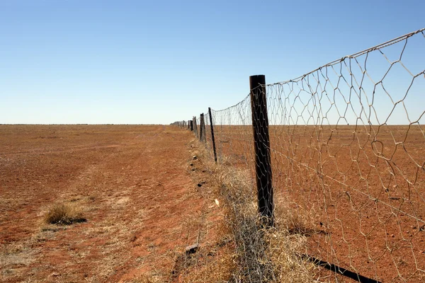Australian outback Dingo fence — Stock Photo, Image