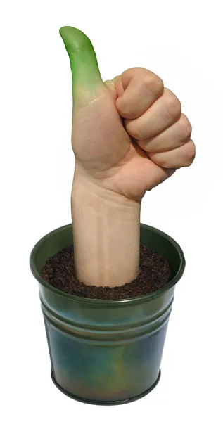 Zielony kciuk — Zdjęcie stockowe