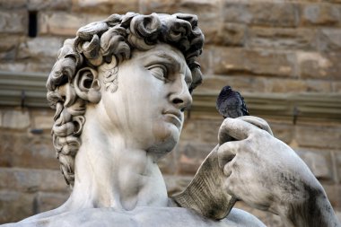 Michelangelo's replica David statue having a conversation with a pigeon. clipart