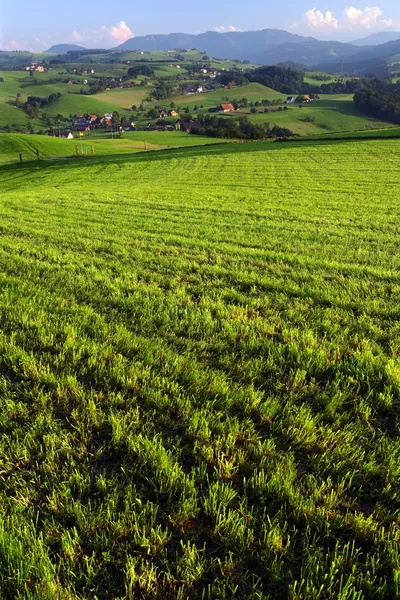 Tierras Agrícolas Suiza Rural Pequeña Comunidad Llamada Neuheim Las Afueras — Foto de Stock