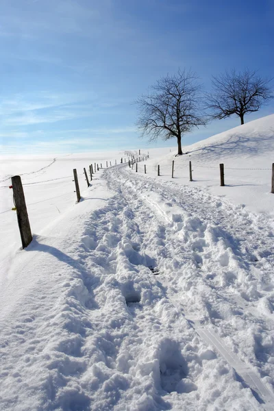 stock image Country road in winter