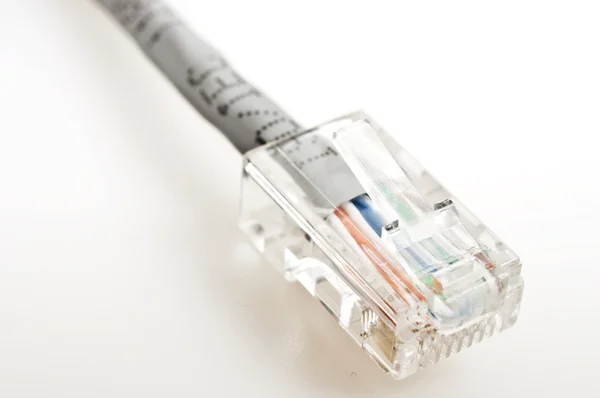 Cable Internet Aislado Sobre Fondo Blanco — Foto de Stock