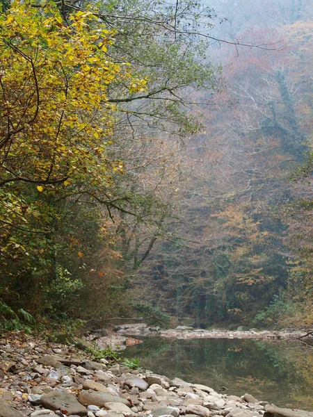 stock image Valley of the mountain river Kudepsta fall