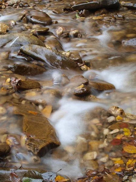 During a mountain river — Stock Photo, Image