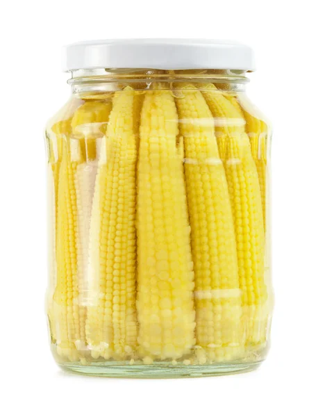 stock image Corn ears