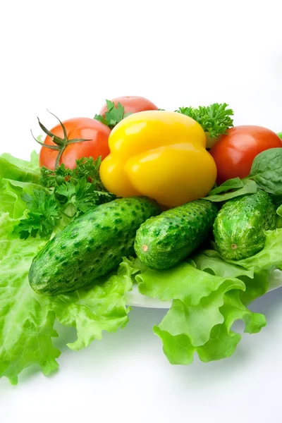 Fresh vegetables — Stock Photo, Image
