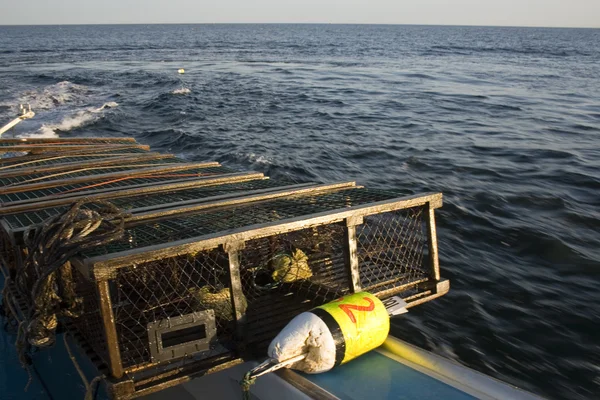 Bacalao de langosta y boya —  Fotos de Stock