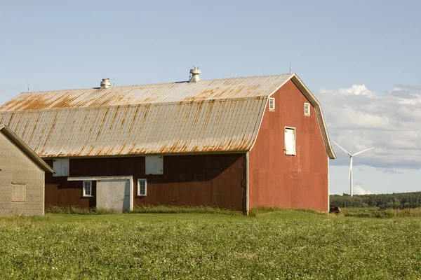 Red Barn Rural Area Prince Edward Island — Stock Photo, Image