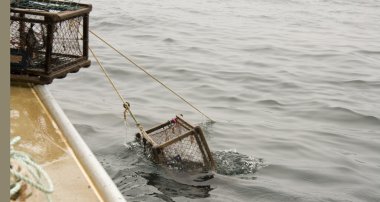 Lobster trap being hauled out of the Atlantic ocean clipart