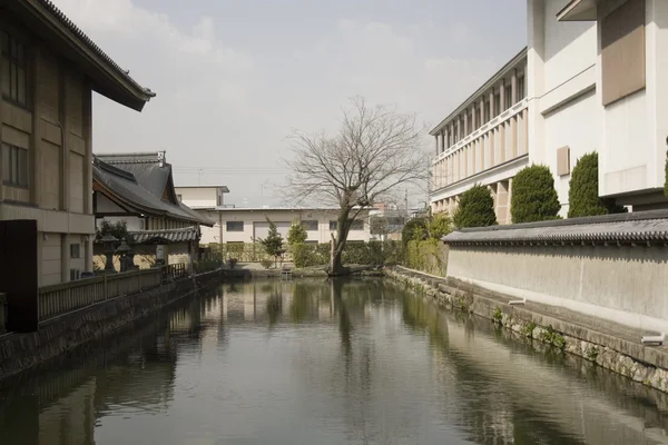 Pond in Kyoto Japan — Stock Photo, Image