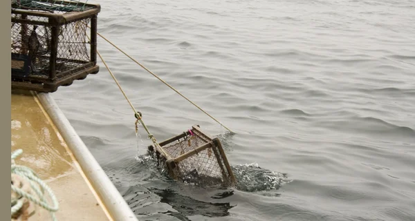 Humra Vytahuje Atlantského Oceánu — Stock fotografie