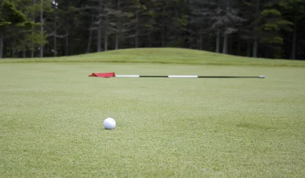 Pin Húzta Golf Labdát Készen Hoz Lenni Lábszárvédő — Stock Fotó