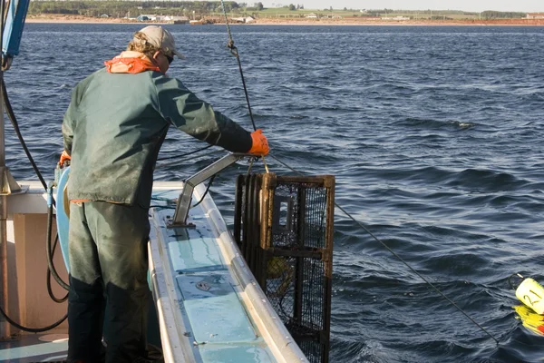 Pescador no trabalho — Fotografia de Stock
