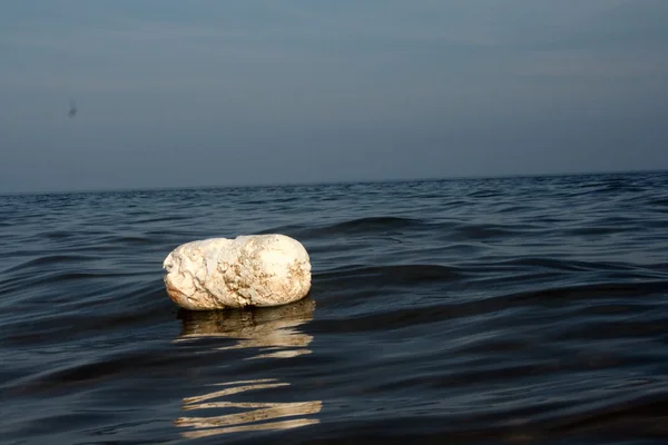 Bóia branca na água — Fotografia de Stock