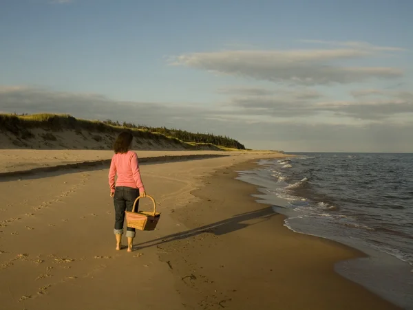 Kumlu Plajda Piknik Sepeti Taşıyan Kadın — Stok fotoğraf