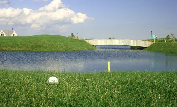 高尔夫球场球奠定了在之前的水危害的长草中 — 图库照片