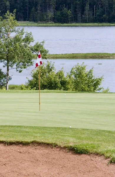 Golf Green Blue Checkered Flag — Stock Photo, Image