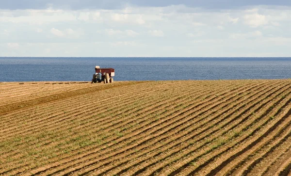 在农村的爱德华王子岛中的一个字段中的拖拉机 — 图库照片