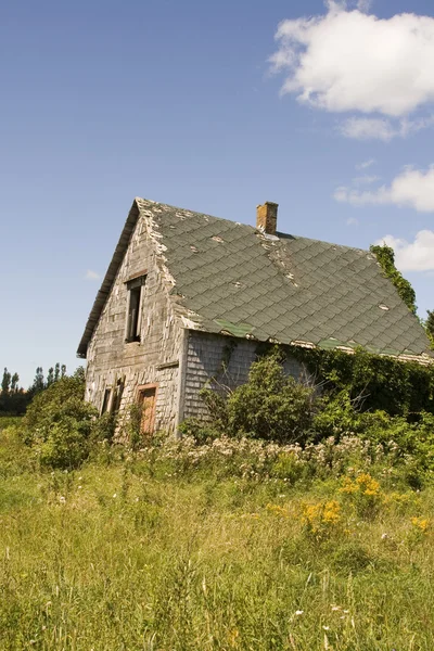 農村部のプリンス エドワード島の古い放棄家 — ストック写真
