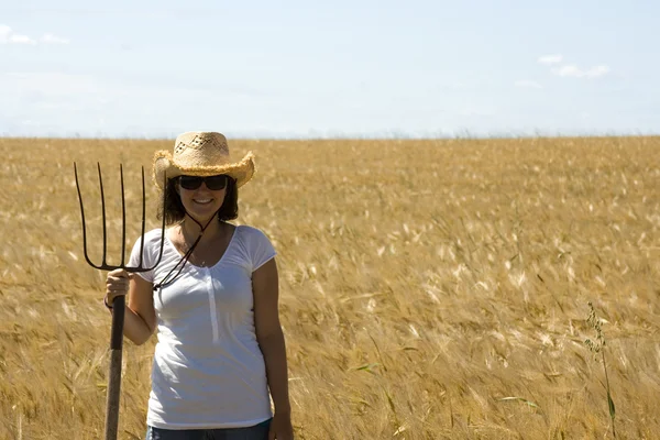 穀物畑の少女 — ストック写真