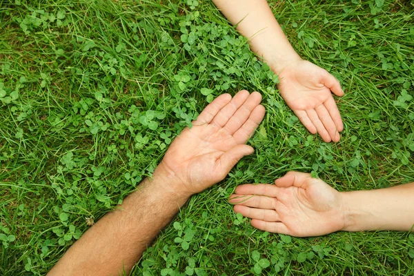 Три руки в траве — стоковое фото