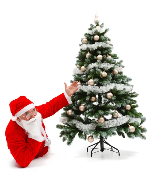 Santa claus leggen en tonen ingericht kerstboom — Stockfoto