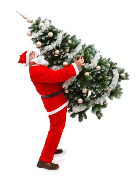 Papá Noel llevando un árbol de navidad decorado — Foto de Stock