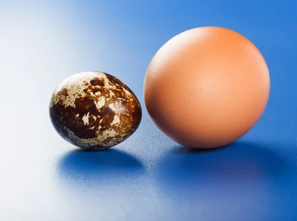 Uova di pollo e di quaglia — Foto Stock