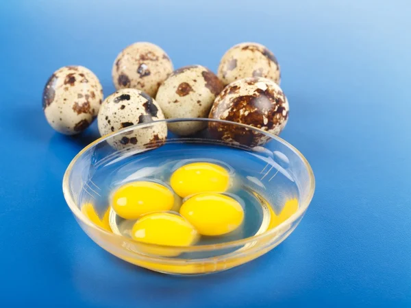 Целые и разбитые перепелиные яйца — стоковое фото