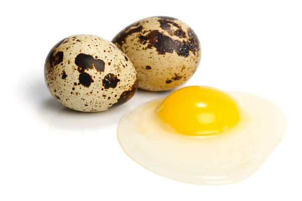 stock image Raw quail eggs