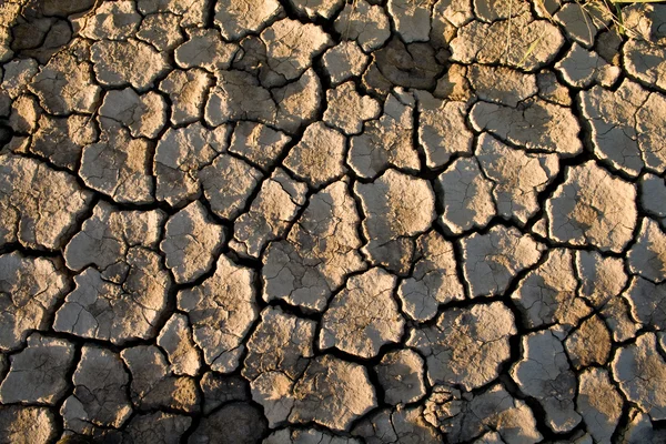 The soil in the fissures — Stock Photo, Image