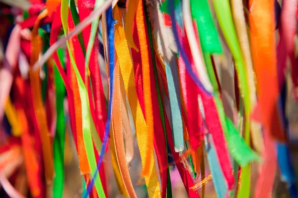 stock image Wish Tree