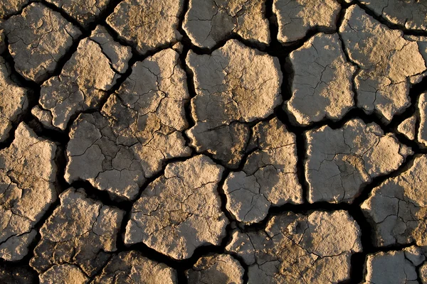 The soil in the fissures — Stock Photo, Image