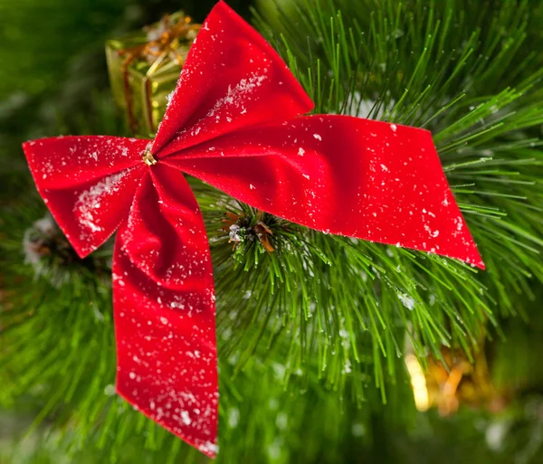 Ramos verdes de uma árvore de Natal — Fotografia de Stock