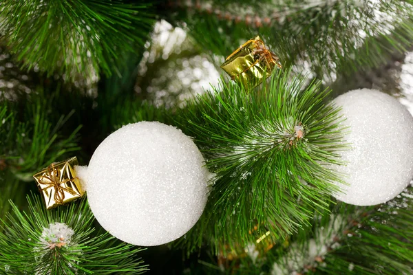 크리스마스 트리의 푸른 가지들 — 스톡 사진