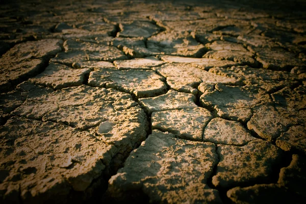 Il suolo nelle fessure — Foto Stock