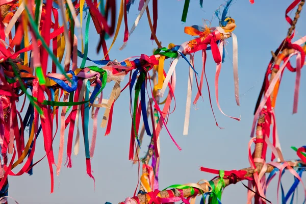 stock image Wish Tree