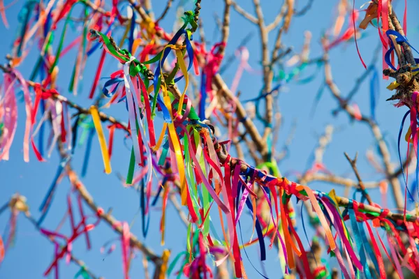 stock image Wish Tree