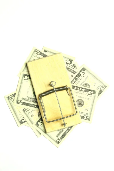 Muizenval en dollar rekeningen — Stockfoto