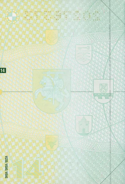 您设计的的空白立陶宛护照页 — 图库照片