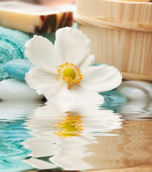 Ambiente de spa com flor e vela azul — Fotografia de Stock