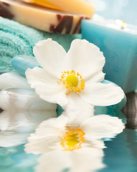 Ajuste de spa con flor y vela azul — Foto de Stock