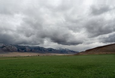 Kuzey Batı ABD (Montana peyzaj)