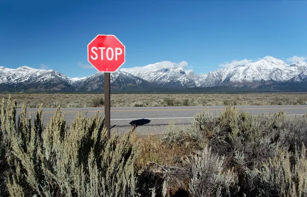 Verkehrsschild "Stop" mit Bergen am Grand Teton Nationalpark, — Stockfoto