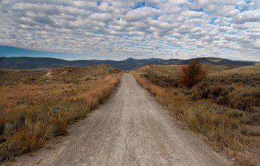 Montana'da asfaltsız yol