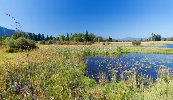 stock image Lakeland in Montana